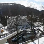 Komfort-fewo Skywalk-blick Mit Meinecardplus Willingen (Upland)