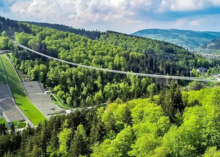 Komfort-fewo Skywalk-blick Mit Meinecardplus Willingen (Upland)
