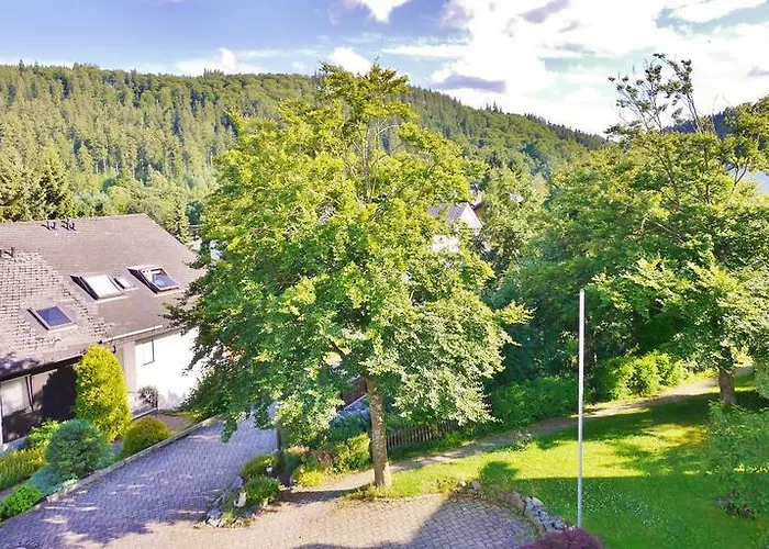 Komfort-fewo Skywalk-blick Mit Meinecardplus * Willingen (Upland)